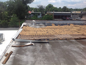 Storm Damaged Roof1