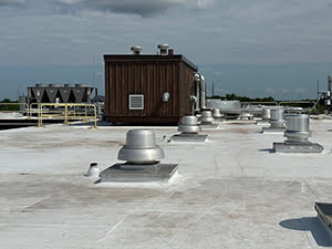 TPO Roofing1