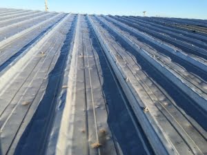 Hail Damage Roofing Contractors1