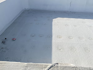 Roof Coating1