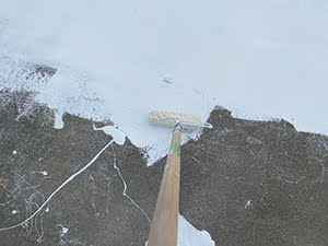 Roof Coating