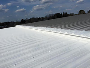 Metal Roof Restoration1