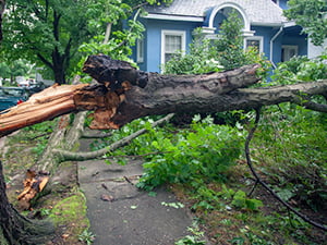 Storm Damaged Roof1